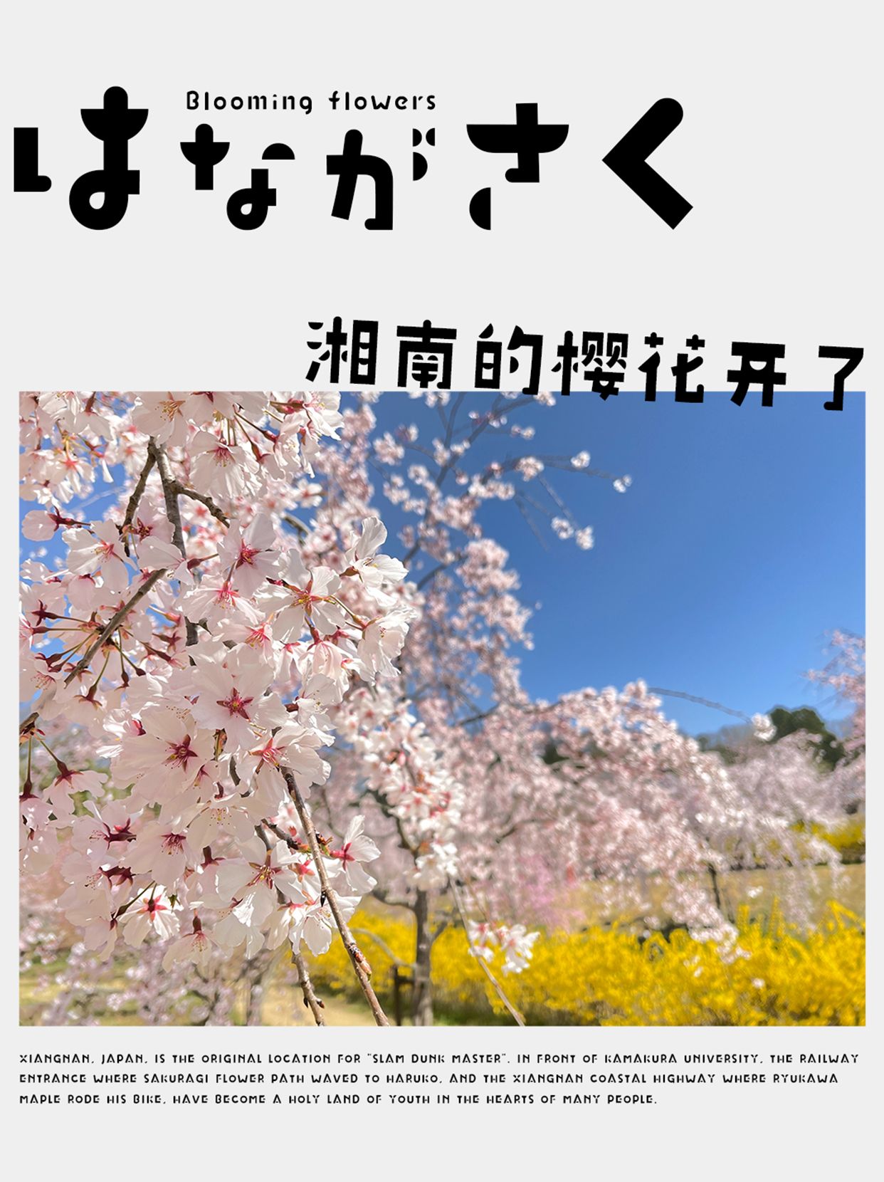 GEETYPE-DS湘南体 大黑字体海报